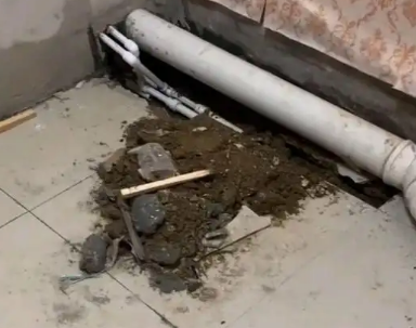 下陆卫生间漏水检测哪家好